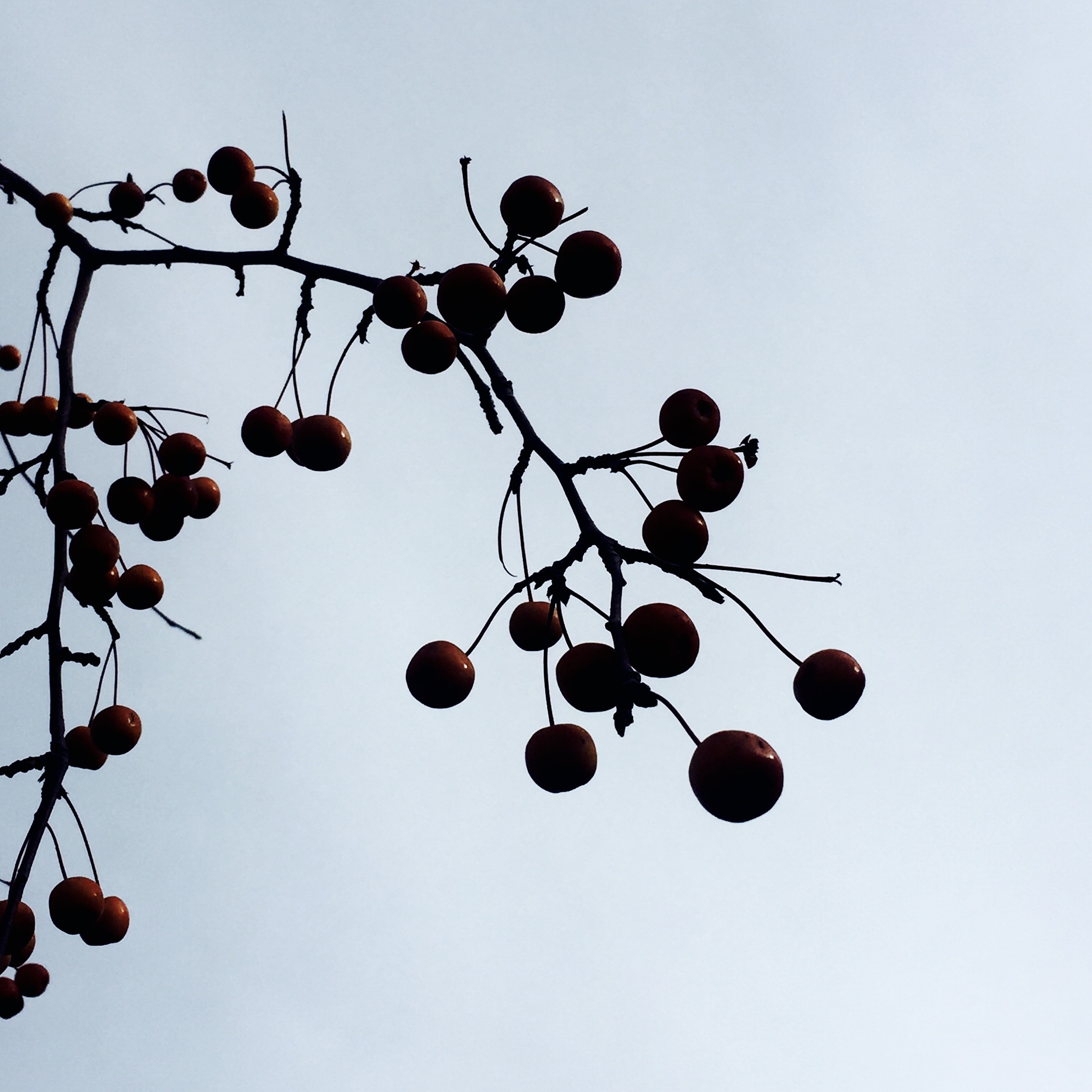 圖片關(guān)鍵詞 圖片關(guān)鍵詞