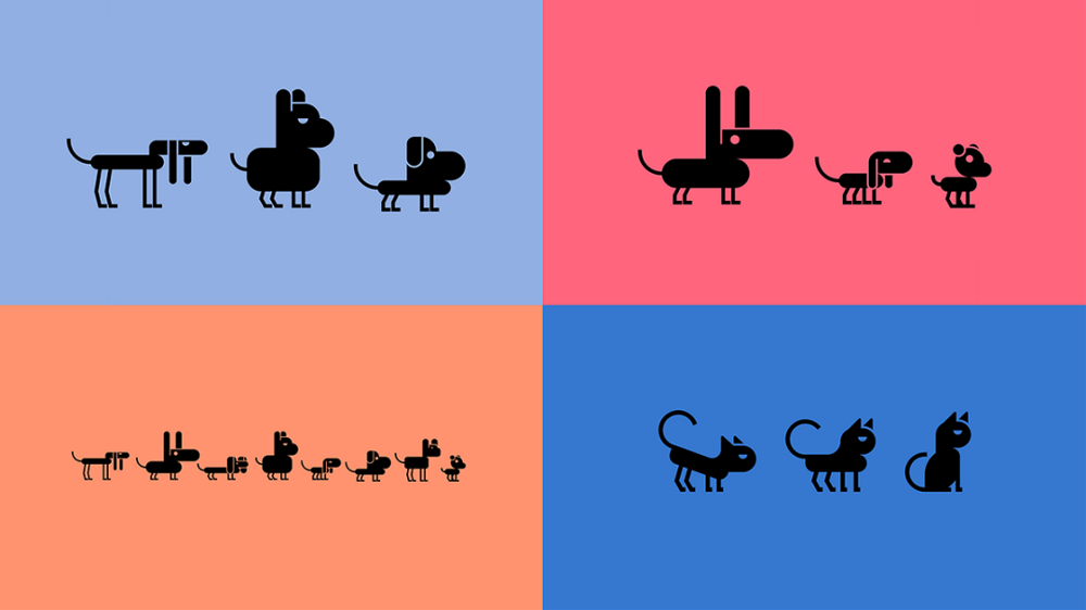 圖片關(guān)鍵詞